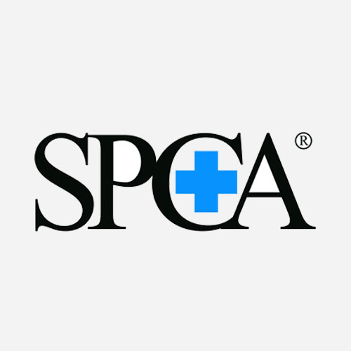 SPCA